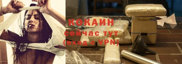 молекула духа Пестово