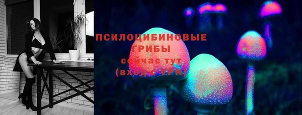 сатива Абдулино