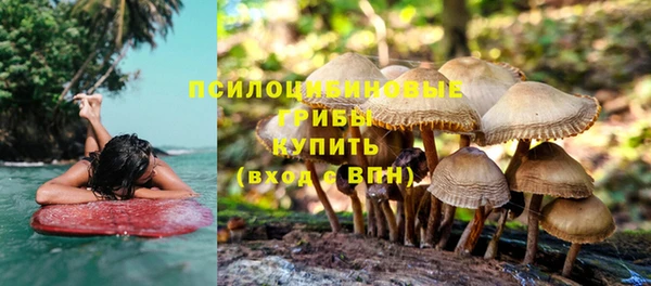 сатива Абдулино