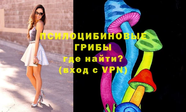 ALPHA-PVP Няндома