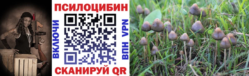 Галлюциногенные грибы MAGIC MUSHROOMS  Карабаново 